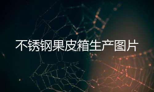 不锈皮箱图片生产钢果